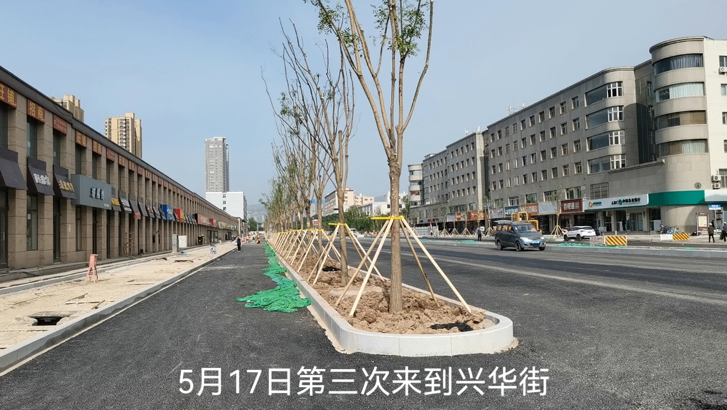 5月17日兴华街路面双向铺上沥青,绿化带种植上树了哔哩哔哩bilibili