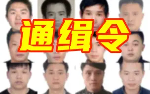 Download Video: 涉嫌故意杀人、拐卖儿童等，见到他们立刻报警！