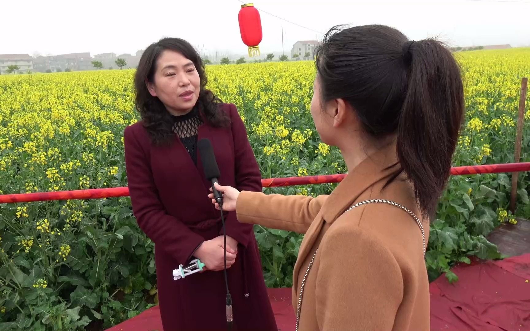 中国油菜看湖北,春来武穴赏花海,金色花海来相会哔哩哔哩bilibili