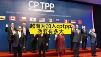 越南为了加入cptpp是真的拼啊！