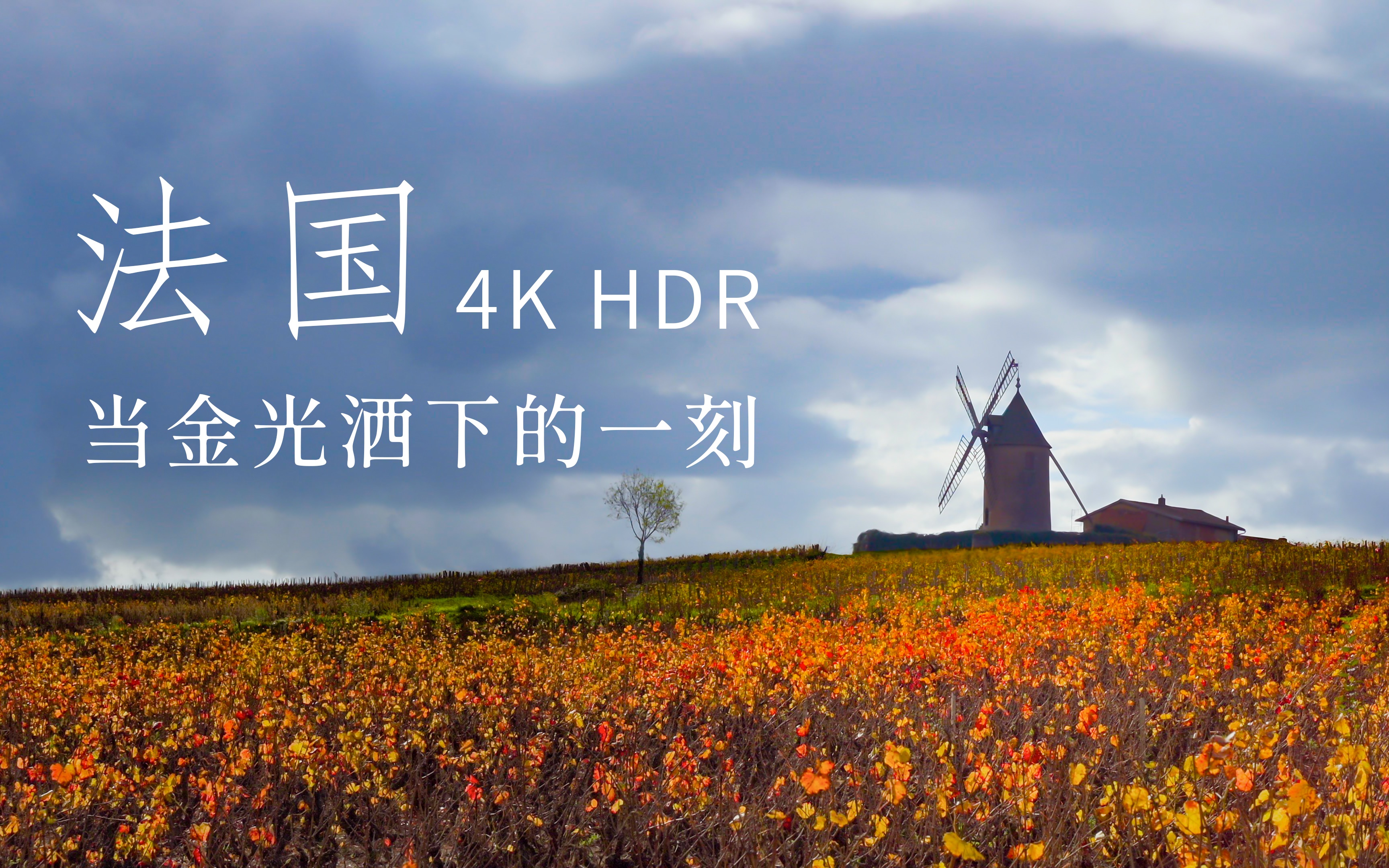 【4K HDR】“来,尝尝看,这是岁月酿成的琼浆”|博若莱新酒 ⷠBeaujolais nouveau|EdenTimes哔哩哔哩bilibili