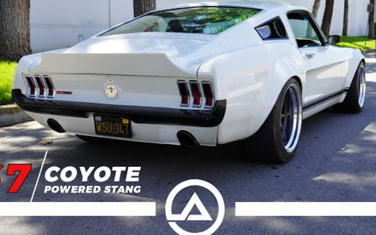 【npc熟肉】 足够邪恶的1967野马mustang fastback