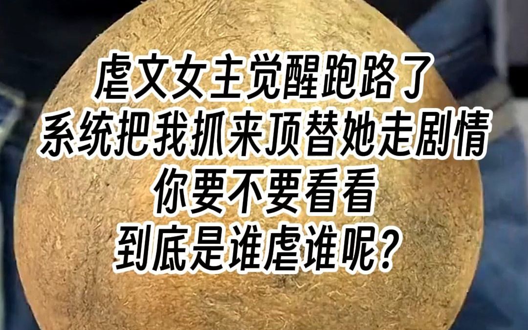 虐文女主觉醒跑路了,系统把我抓来顶替她走剧情,“你要不要看看,到底是谁虐谁呢?”哔哩哔哩bilibili