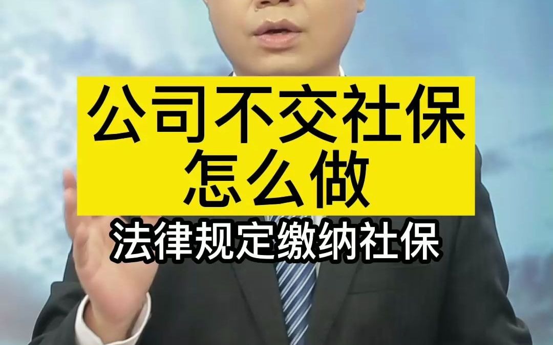 公司不交社保怎么做哔哩哔哩bilibili