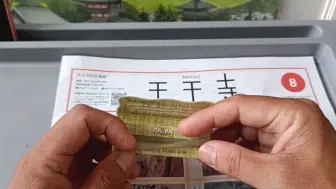 Download Video: paypay这款用的是天然苜蓿制成，有种让我们成为食草动物的冲动。。。