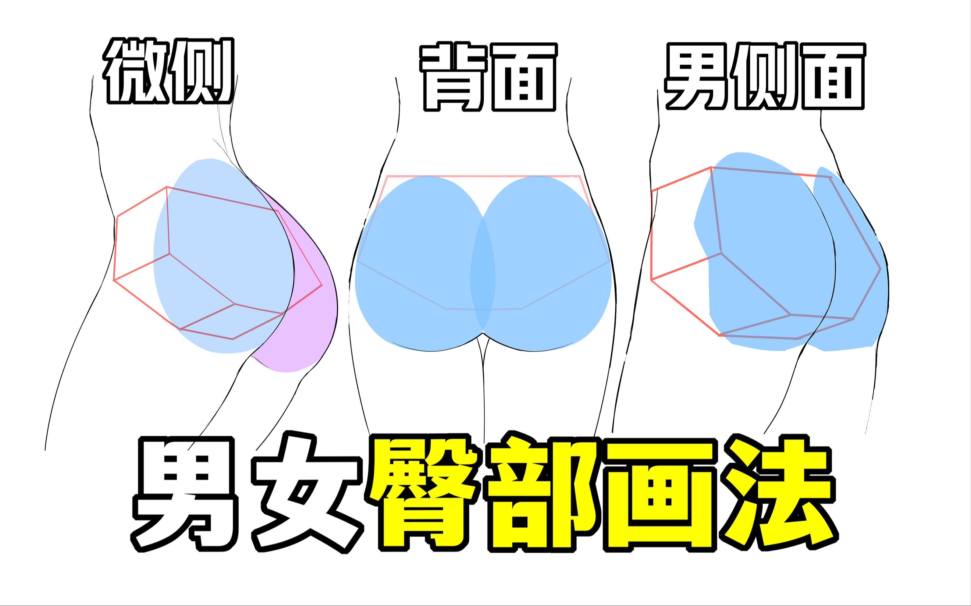 男女生臀部怎么画好看?PP都有什么区别? 【轻微课1508期】哔哩哔哩bilibili