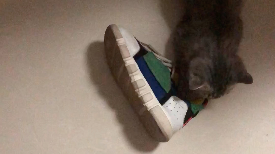 爱闻鞋鞋的大壮_哔哩哔哩_bilibili