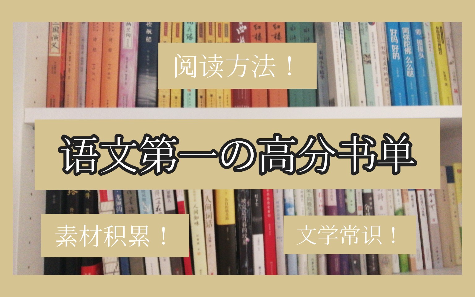 高中语文高分の必备书单|高中生暑假阅读|语文第一教你如何正确阅读提分哔哩哔哩bilibili