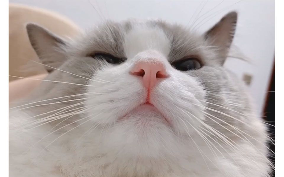 【郑丹妮】20200123电台