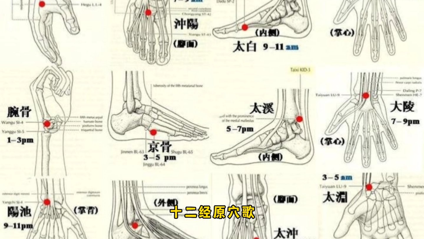 [图]十二经原穴歌