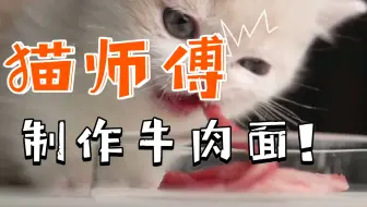 小猫吃牛肉面，一根管饱~_哔哩哔哩_bilibili