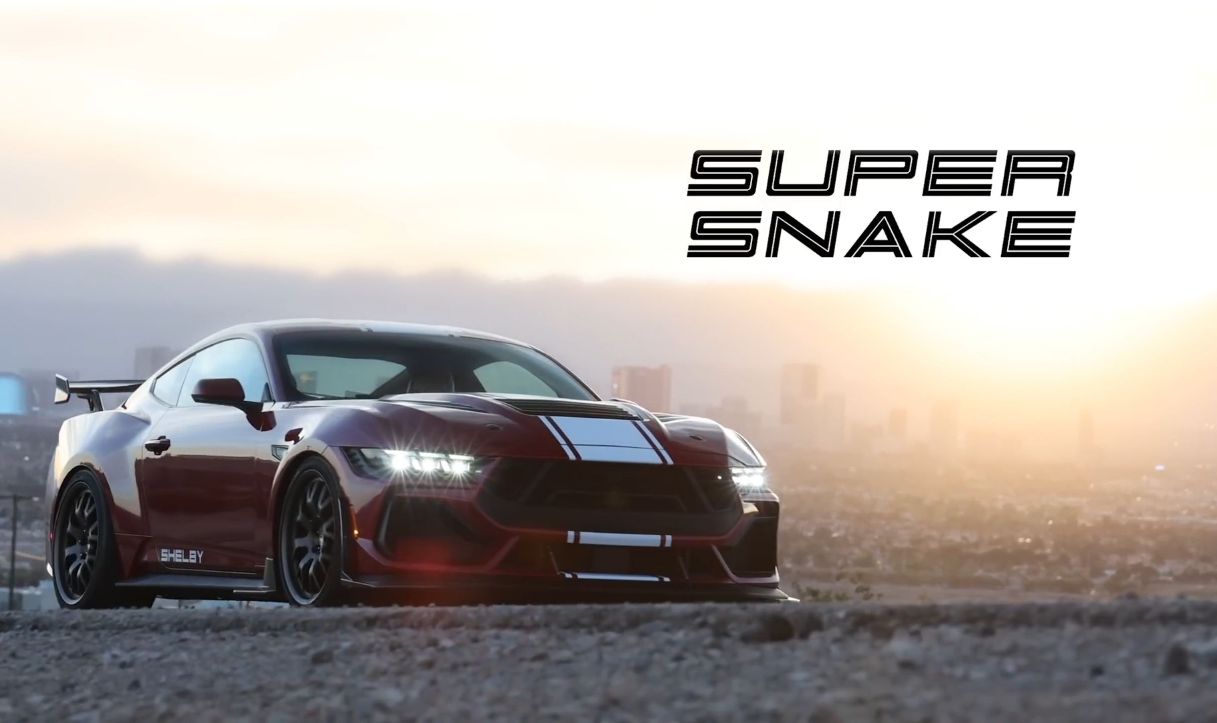 向您隆重介绍,全新谢尔比S650 super snake哔哩哔哩bilibili