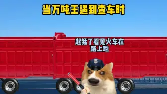 当万吨王遇到查车