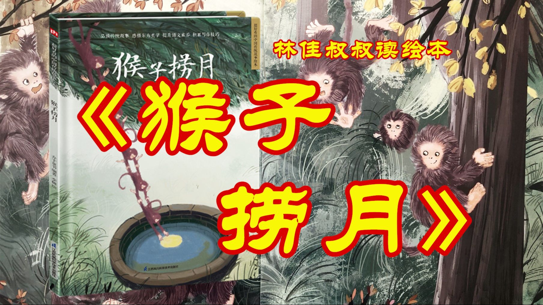 《中国传统故事：猴子捞月》｜林佳叔叔读绘本（081）