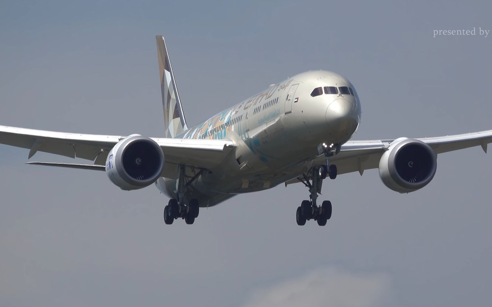 【4k】【j-sky】(84架)一起认飞机,东京成田国际机场白日降落集锦