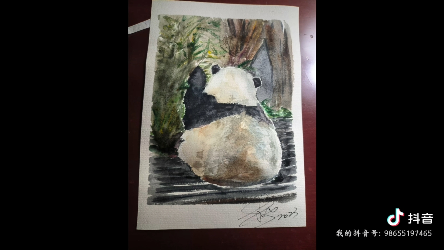 手绘水彩 大熊猫花花背影
