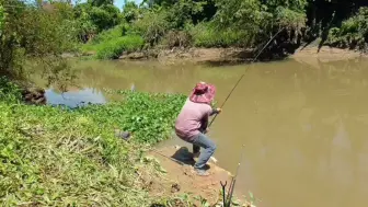 下载视频: 野钓，这条河只有1米水深，草鱼鲶鱼多的烂泛，钓的根本忙不过来