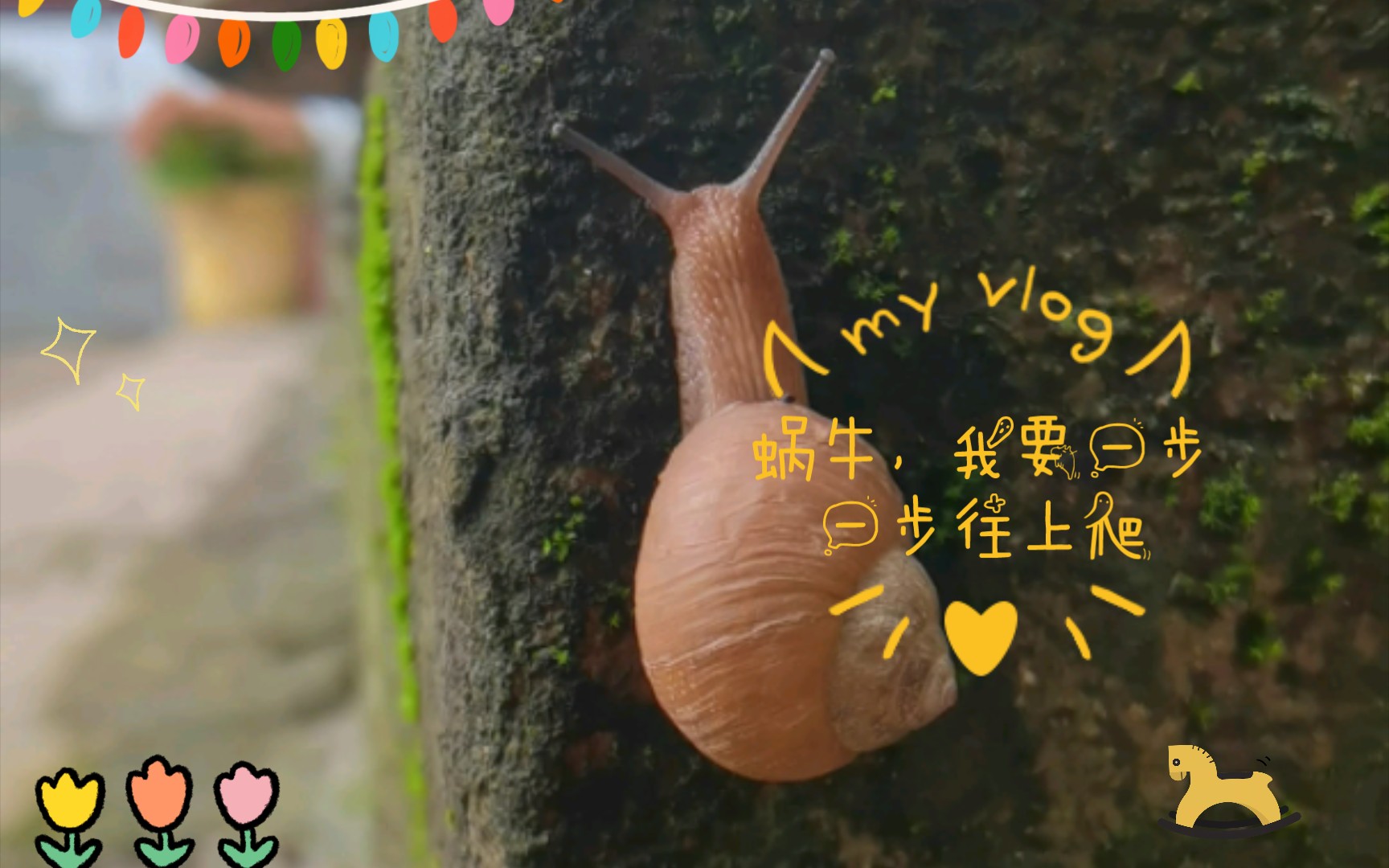 蜗牛我要一步一步往上爬