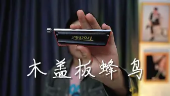 Tải video: 【口琴】木盖板蜂鸟音色怎么样？来吹个八方旅人的BGM感受下吧~