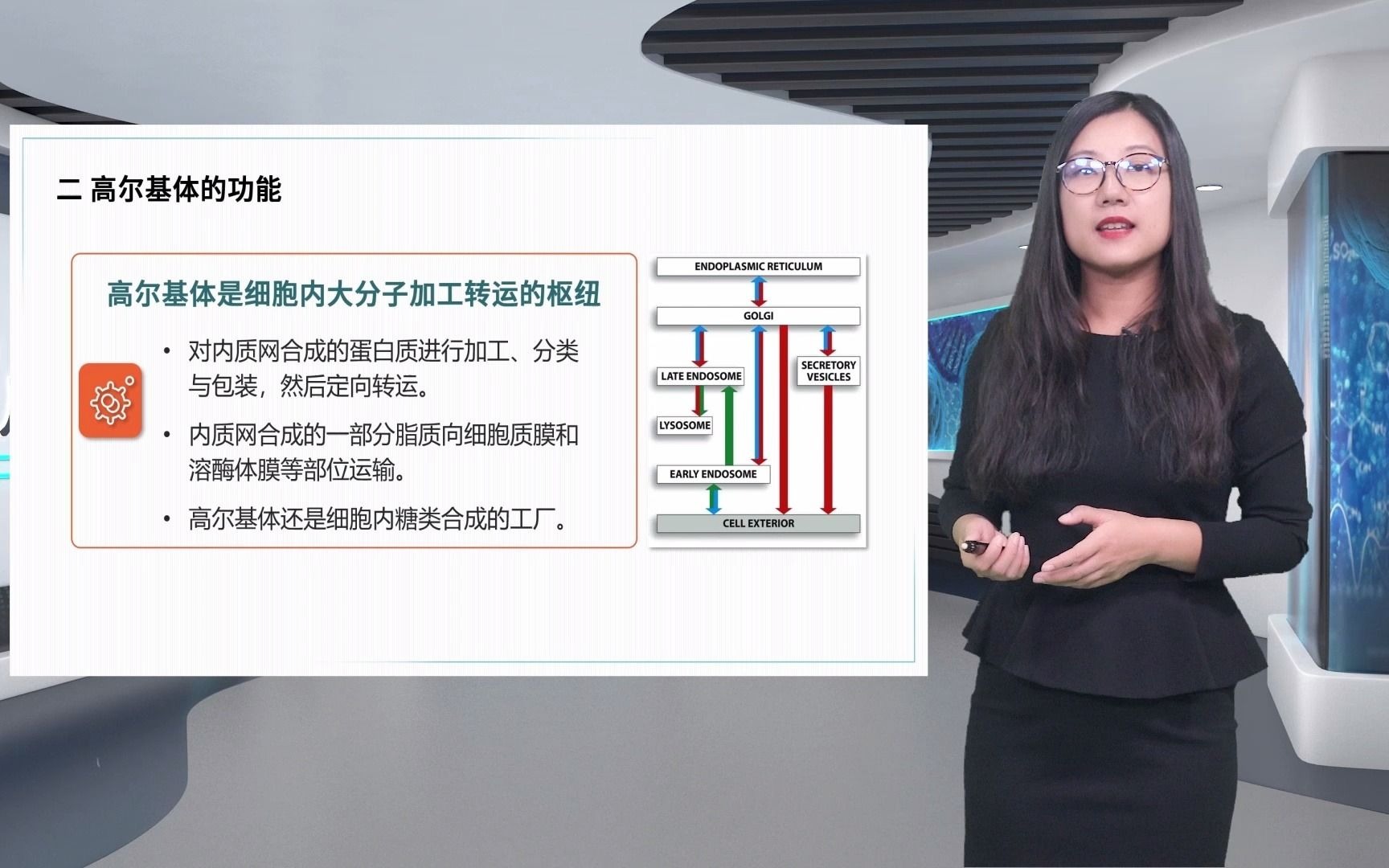 7.3.高尔基体细胞生物学黄萱哔哩哔哩bilibili