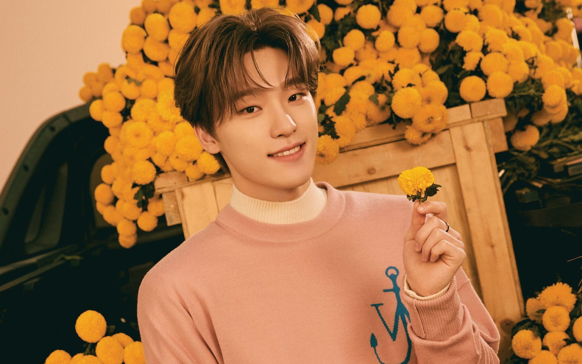 【seventeen李灿dino】ready to love 直拍多机位同屏 一次观看三倍