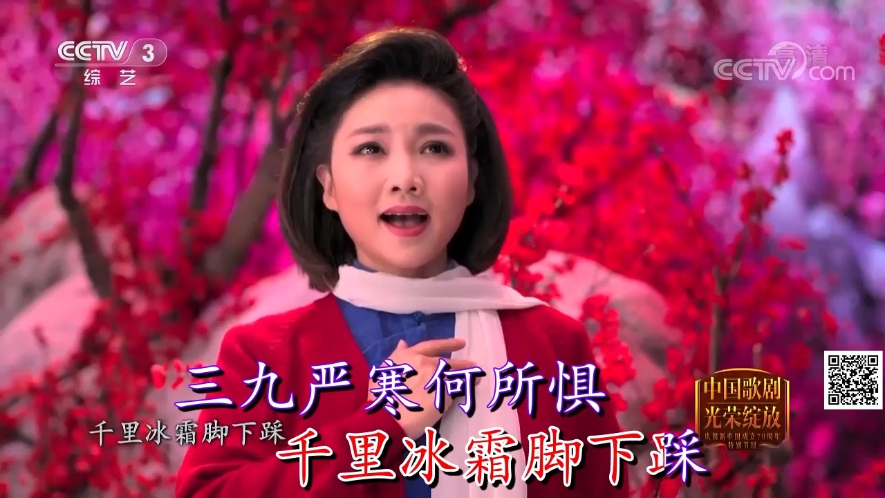 红梅赞-王莉出镜-江淮安演唱-伴奏-王新民制作