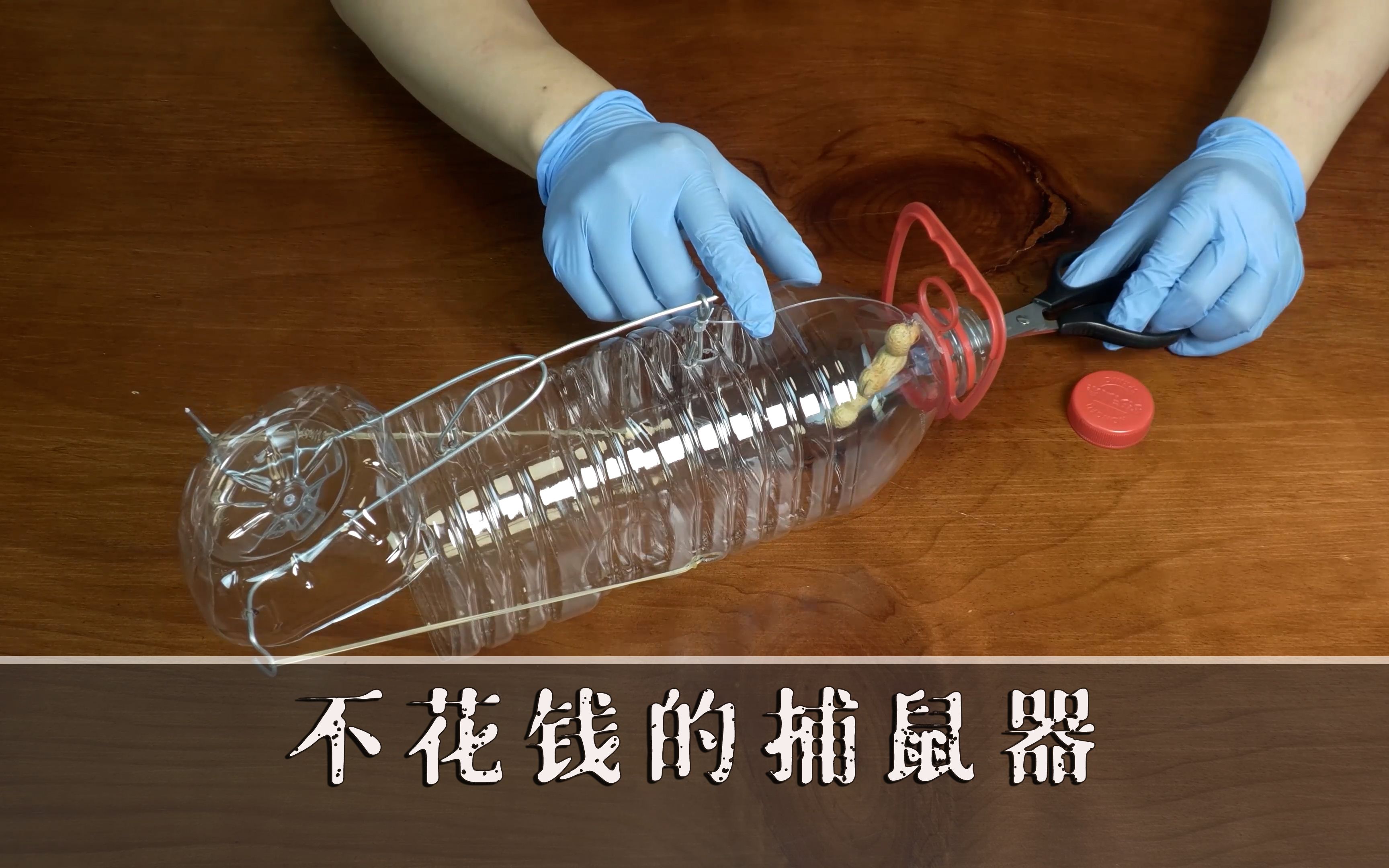用塑料瓶制作简易捕鼠器,看完就会