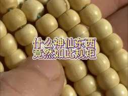 Download Video: 什么神仙东西 竟然如此规矩！