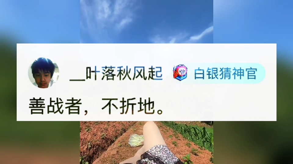 网络搞笑神评论:善战者,不折地.哔哩哔哩bilibili