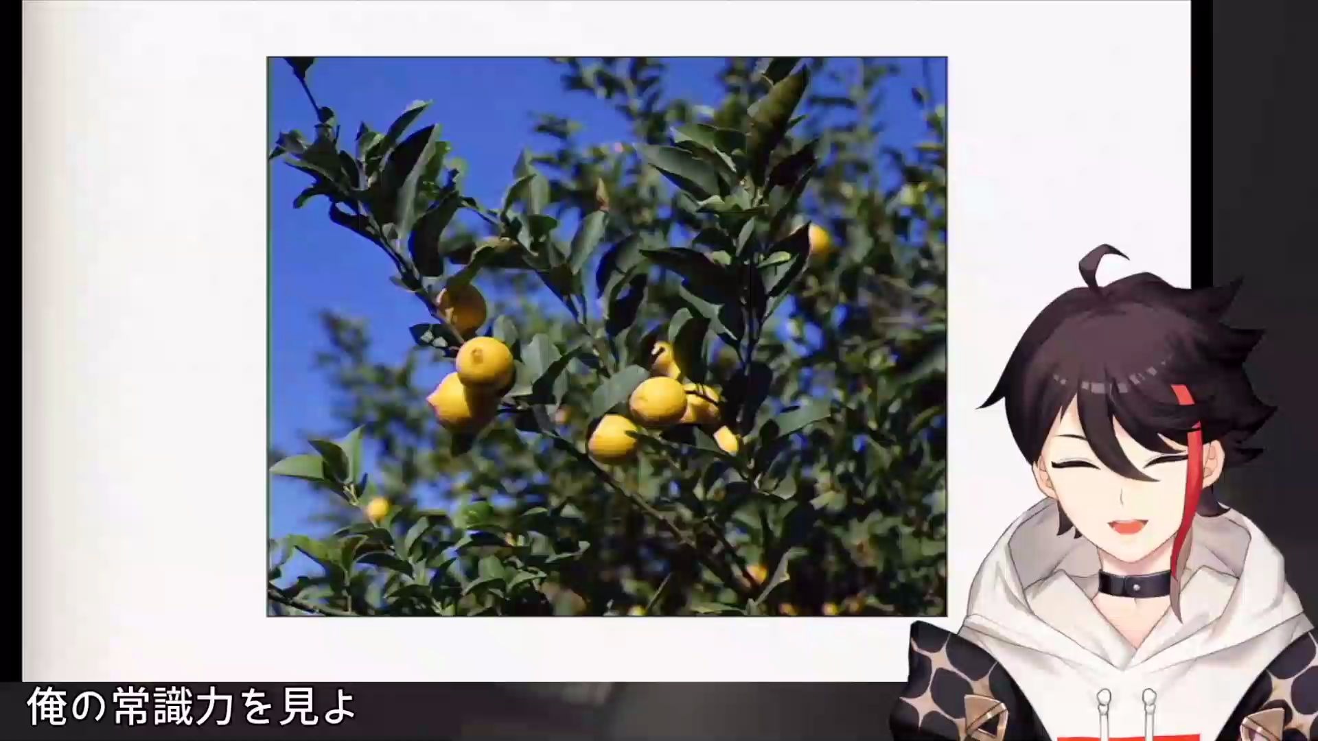 《Lemon》哔哩哔哩bilibili