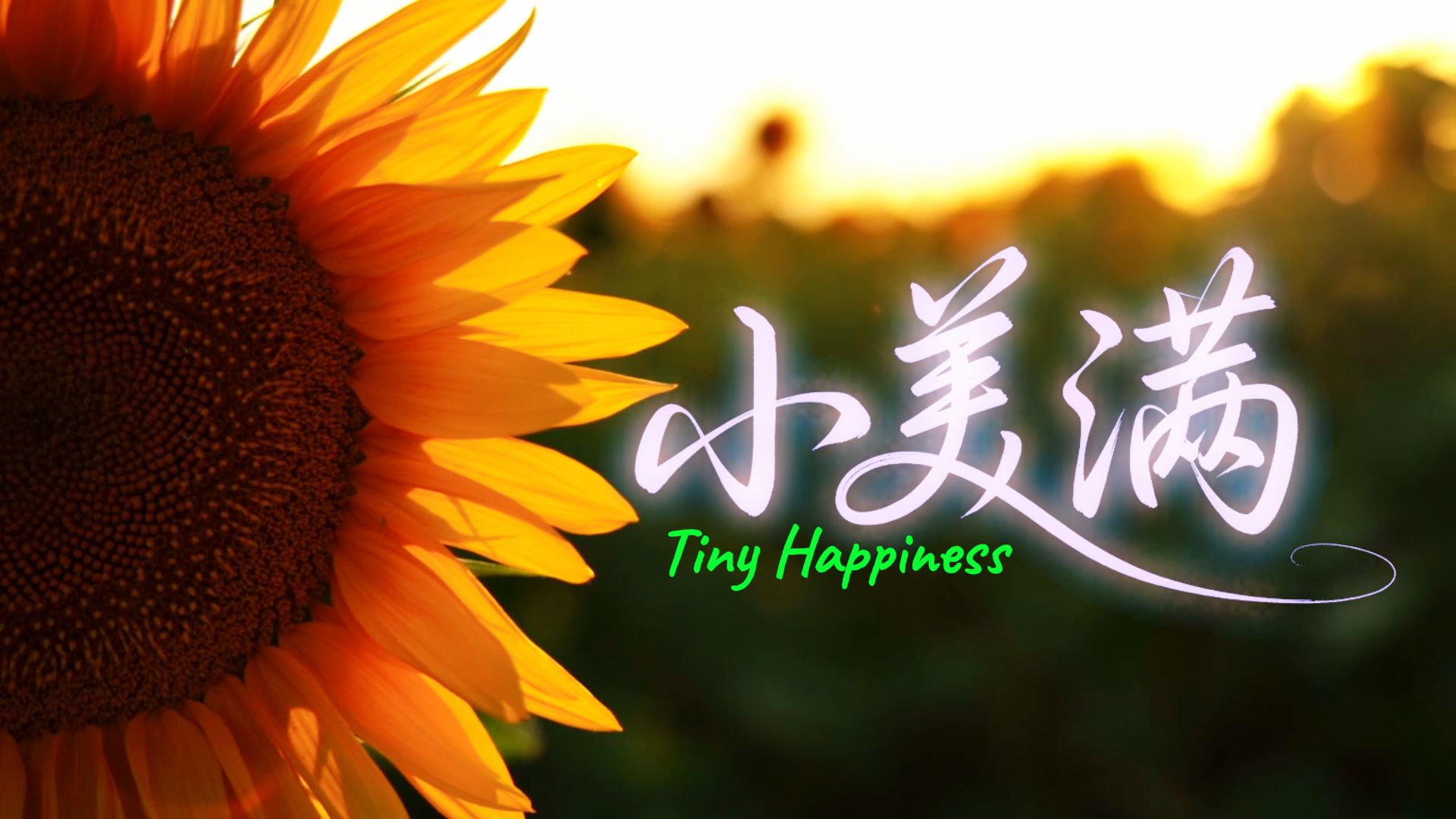 《小美满》mp4 伴奏背景视频 周深
