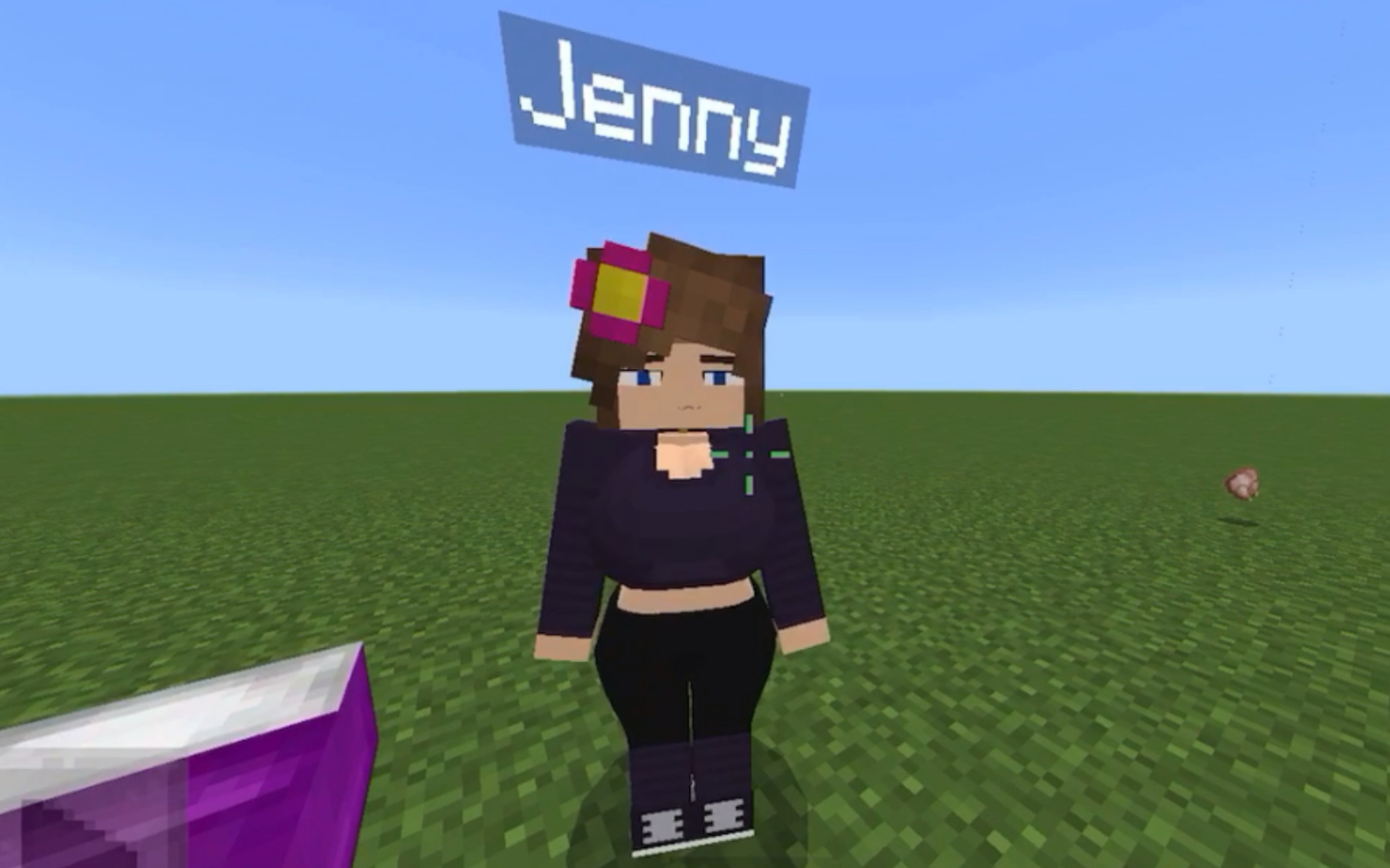 我的世界基岩版珍妮add