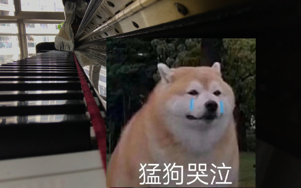 五月天知足cover