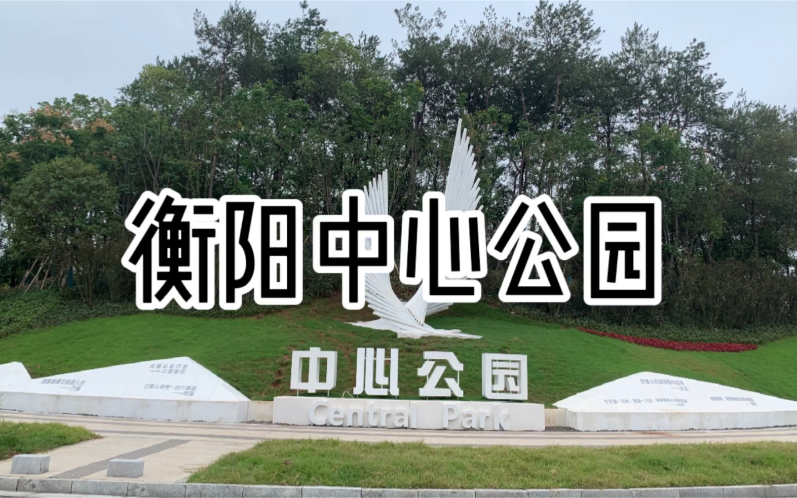 衡阳陆家新区中心公园即将完工沙漠和牛带你抢先看景色不错