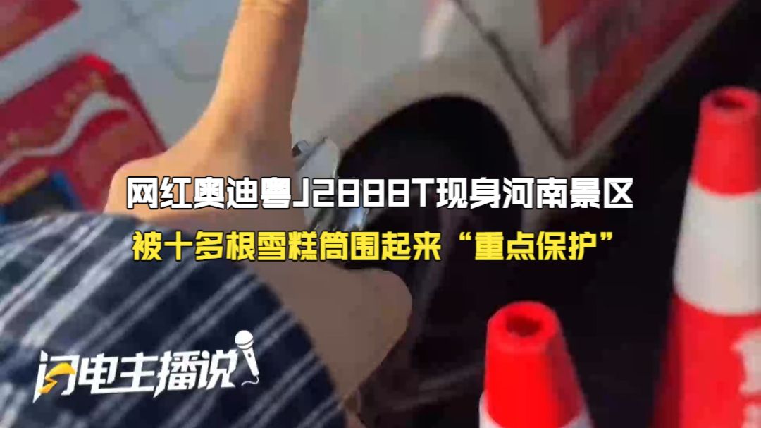网红奥迪粤J2888T现身河南景区 被十多根雪糕筒围起来“重点保护”