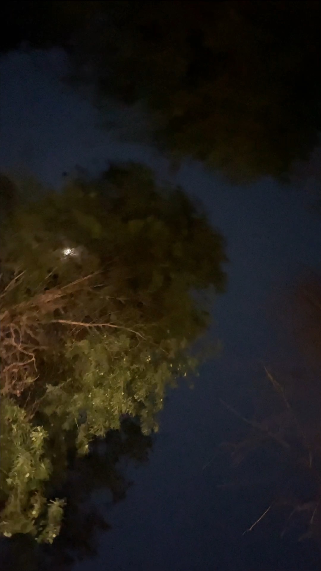 晚上好晚上的风好舒服