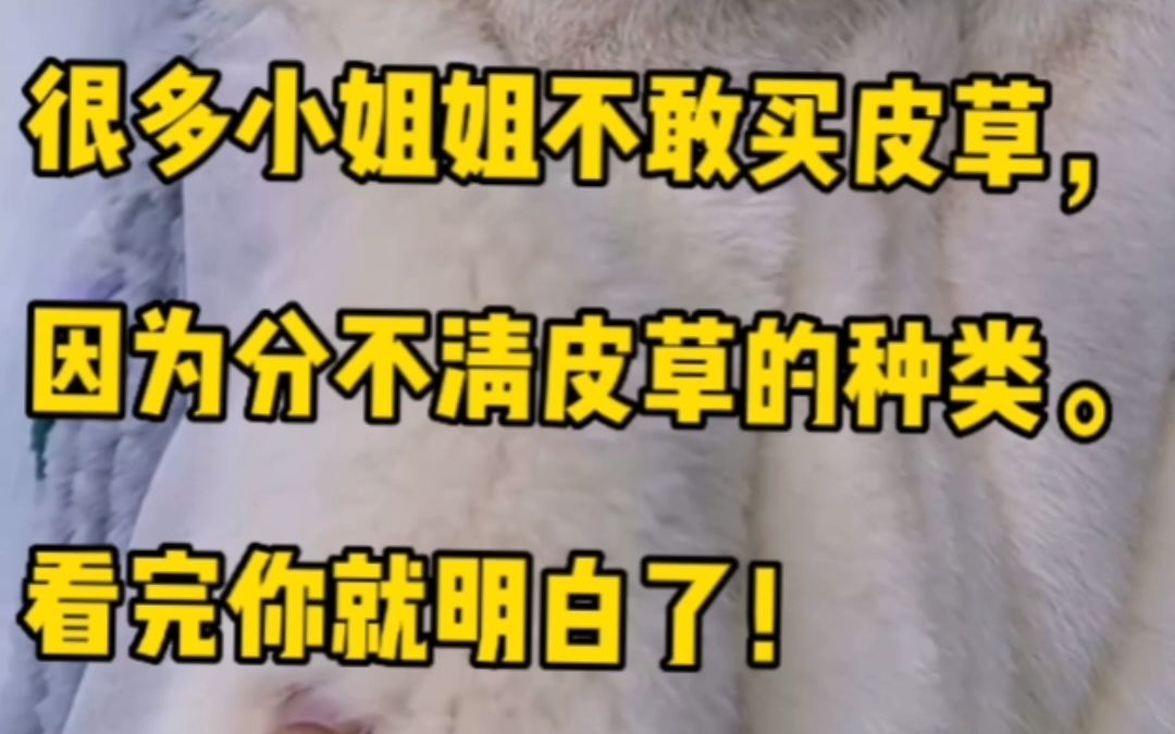 很多小姐姐不敢买皮草,是因为分不清皮草种类,看完你就明白了!哔哩哔哩bilibili