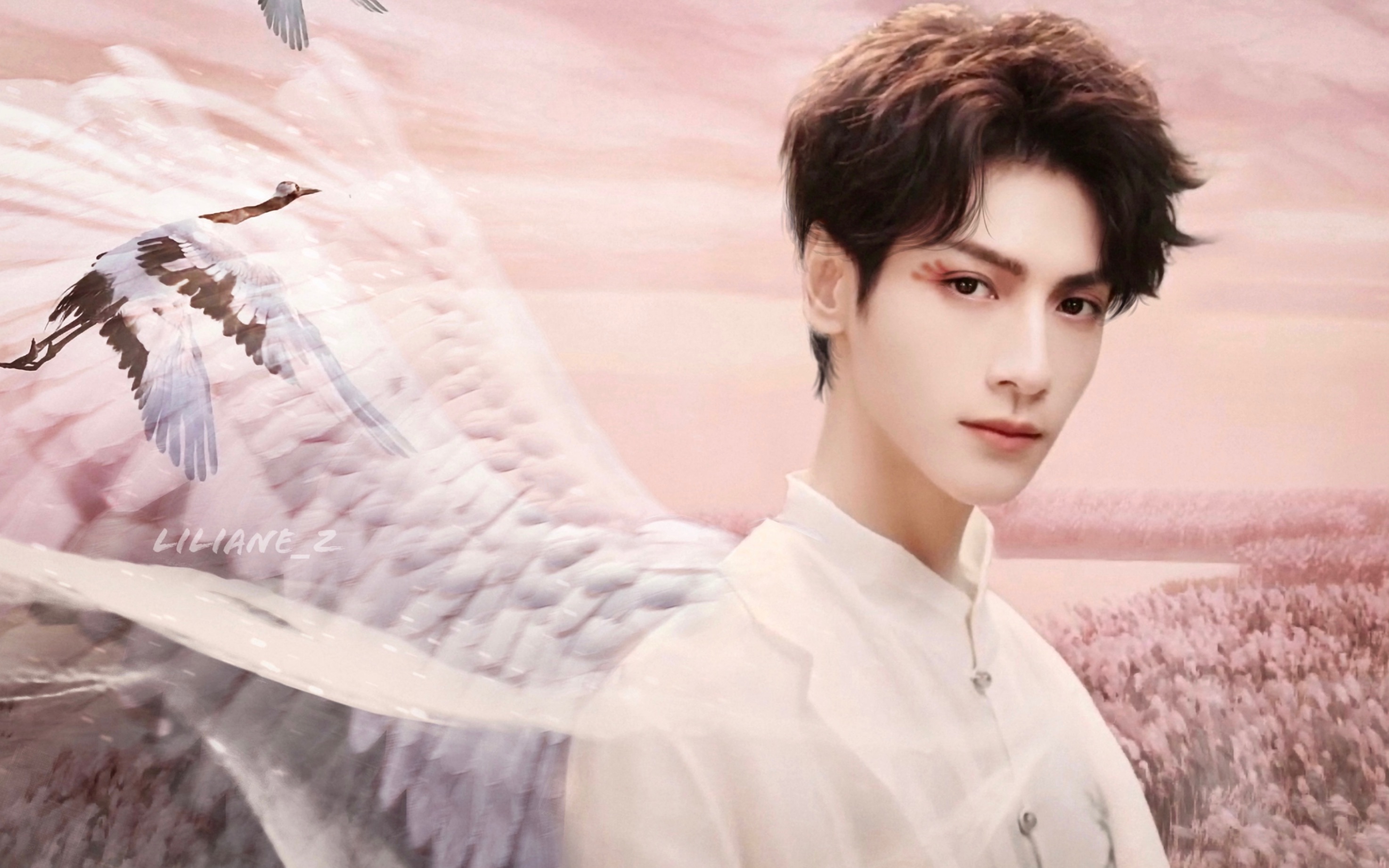 【罗云熙|完美日记】红|浴火重生