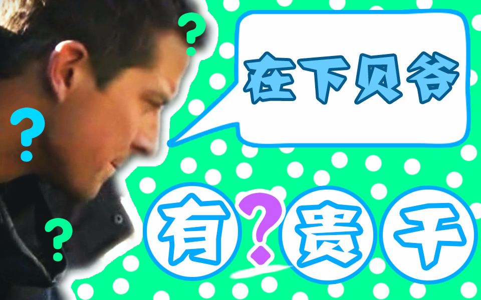 【贝尔】在下贝爷,有何贵干?哔哩哔哩bilibili