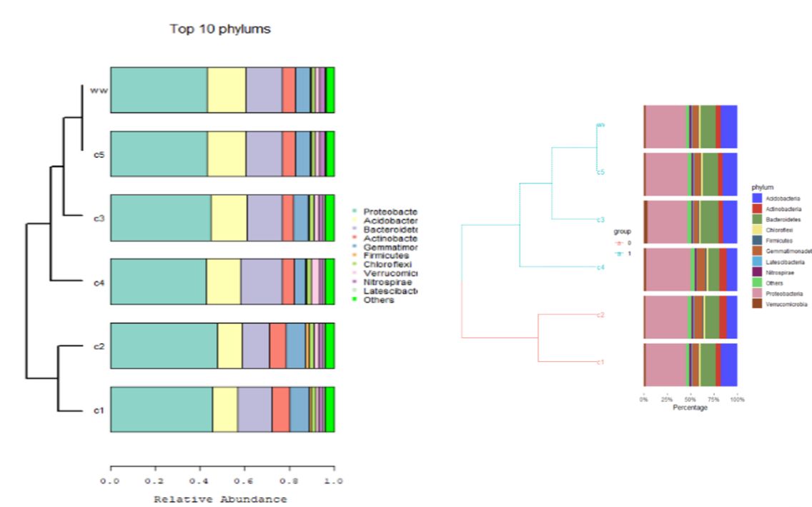 基础的两种画法(微生物聚类+百分比堆积图)哔哩哔哩bilibili