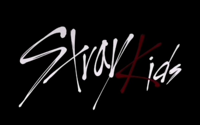 straykids全员疯批