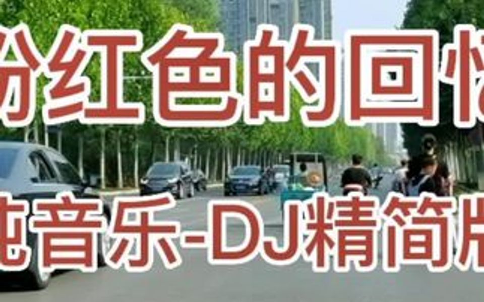 [图]经典老歌《粉红色的回忆》电子琴纯音乐DJ版。