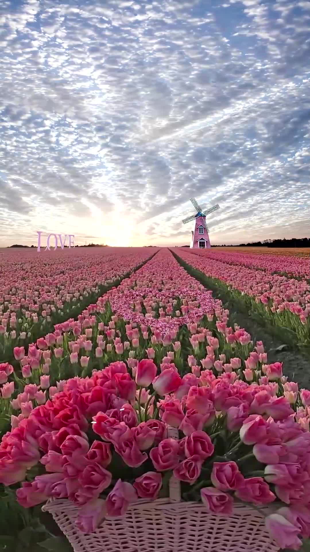 "所有温柔浪漫的瞬间.