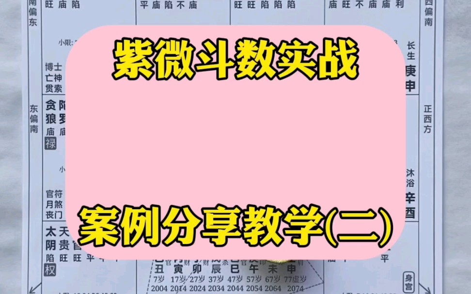 紫微斗数实战案例分享教学(二)哔哩哔哩bilibili