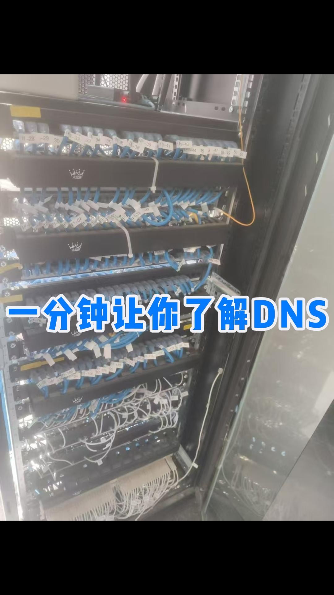 一分钟让你了解DNS哔哩哔哩bilibili