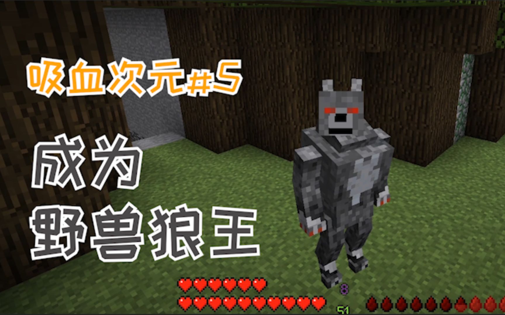 我的世界吸血鬼模组生存#5 狼人野兽形态变身!