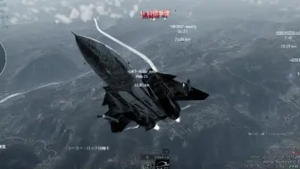 Download Video: F-14A 老牌空中霸主两把击杀素材 11.7老将放在如今仍有威慑力