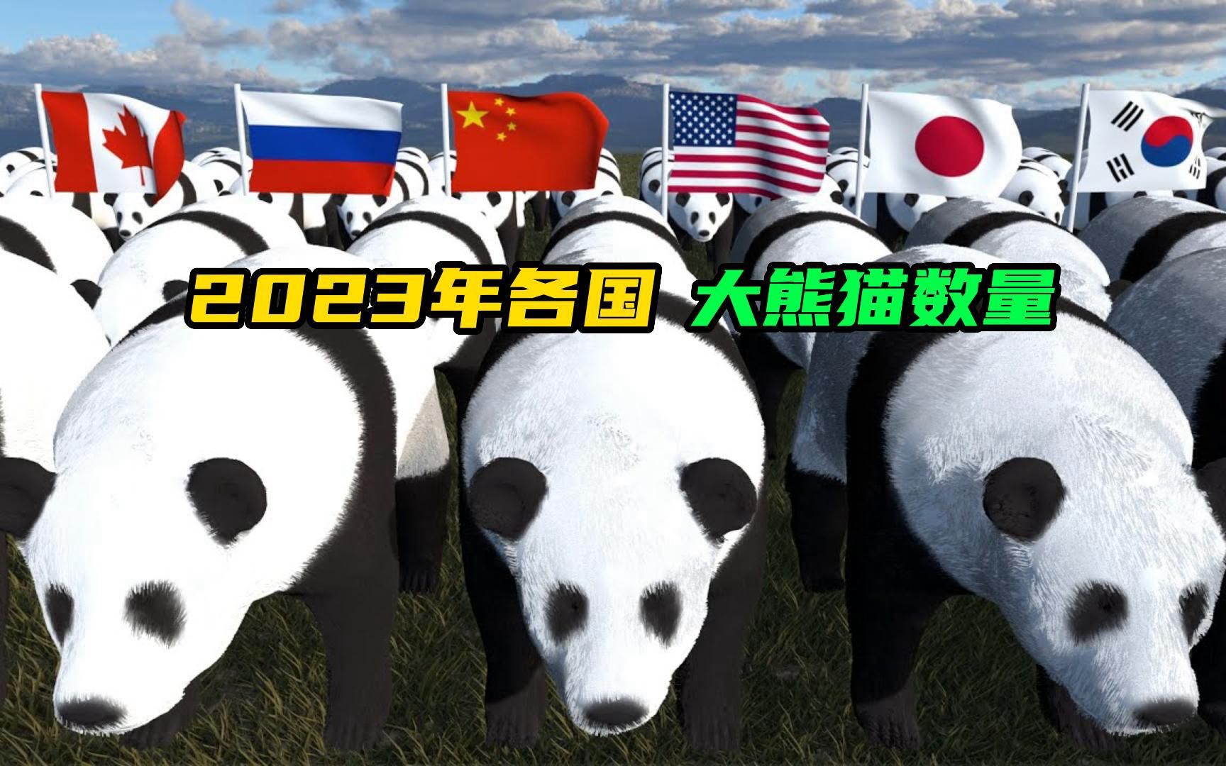 2023年各国大熊猫数量!!!哔哩哔哩bilibili