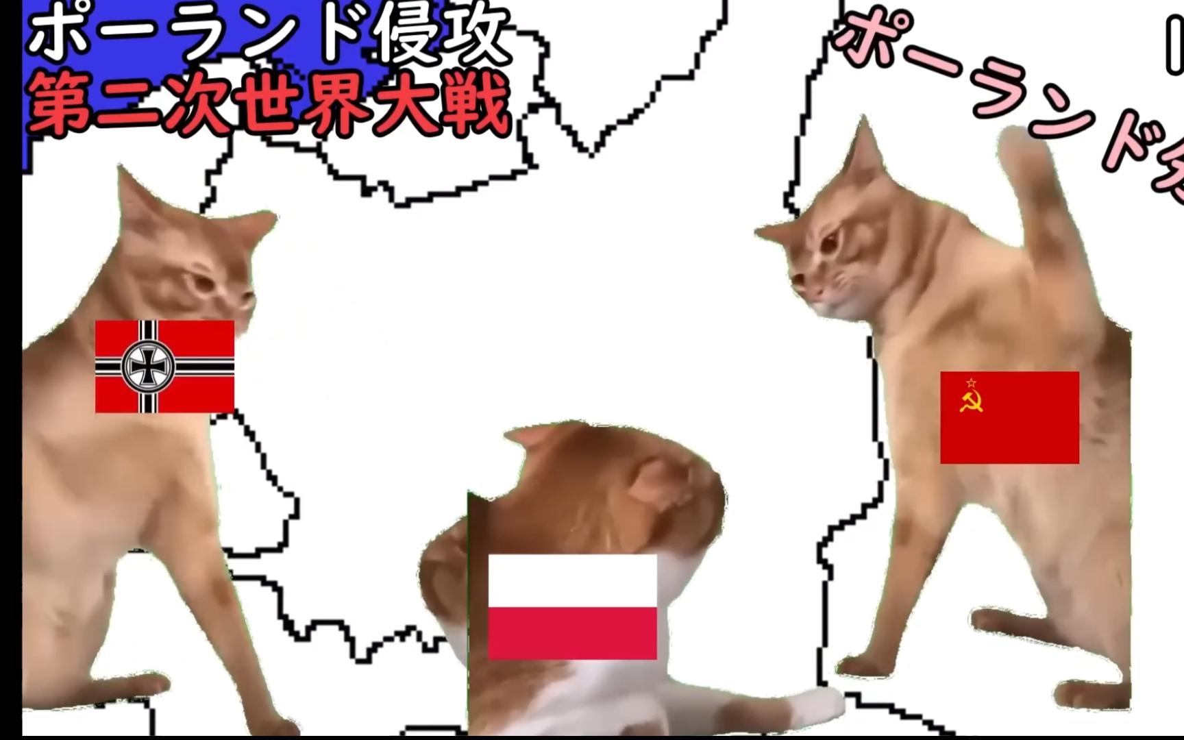 [图]【猫meme】第二次世界大战 但是猫meme （IQ50以下的猫猫也能看懂）