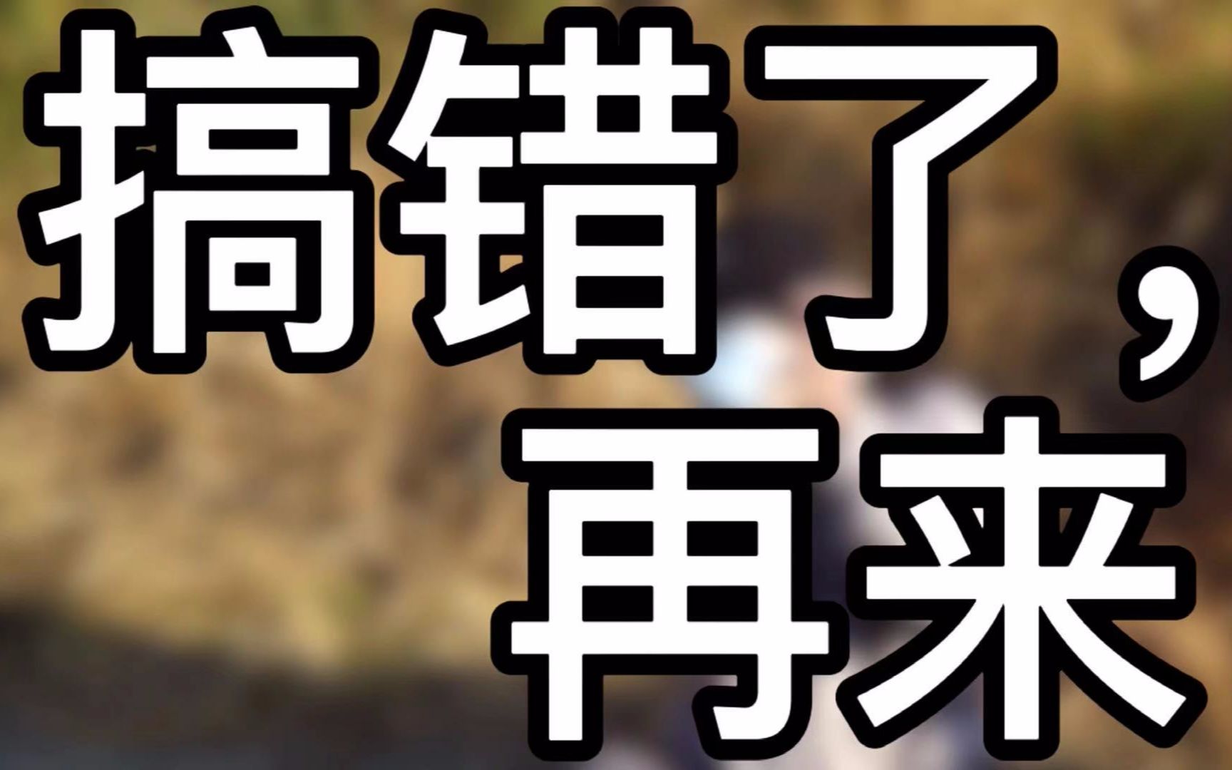 活动作品边牧宠物六个月的变化